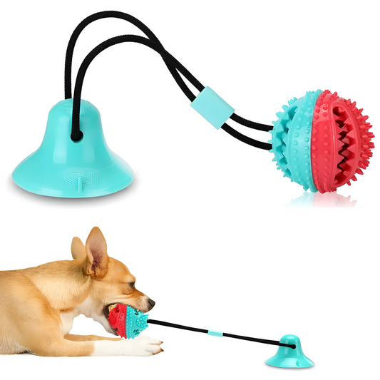 Suction Cup Dog Toy Front Cover